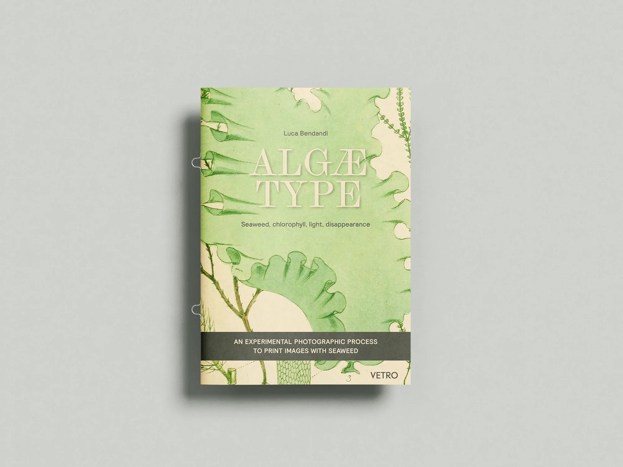 Algaetype