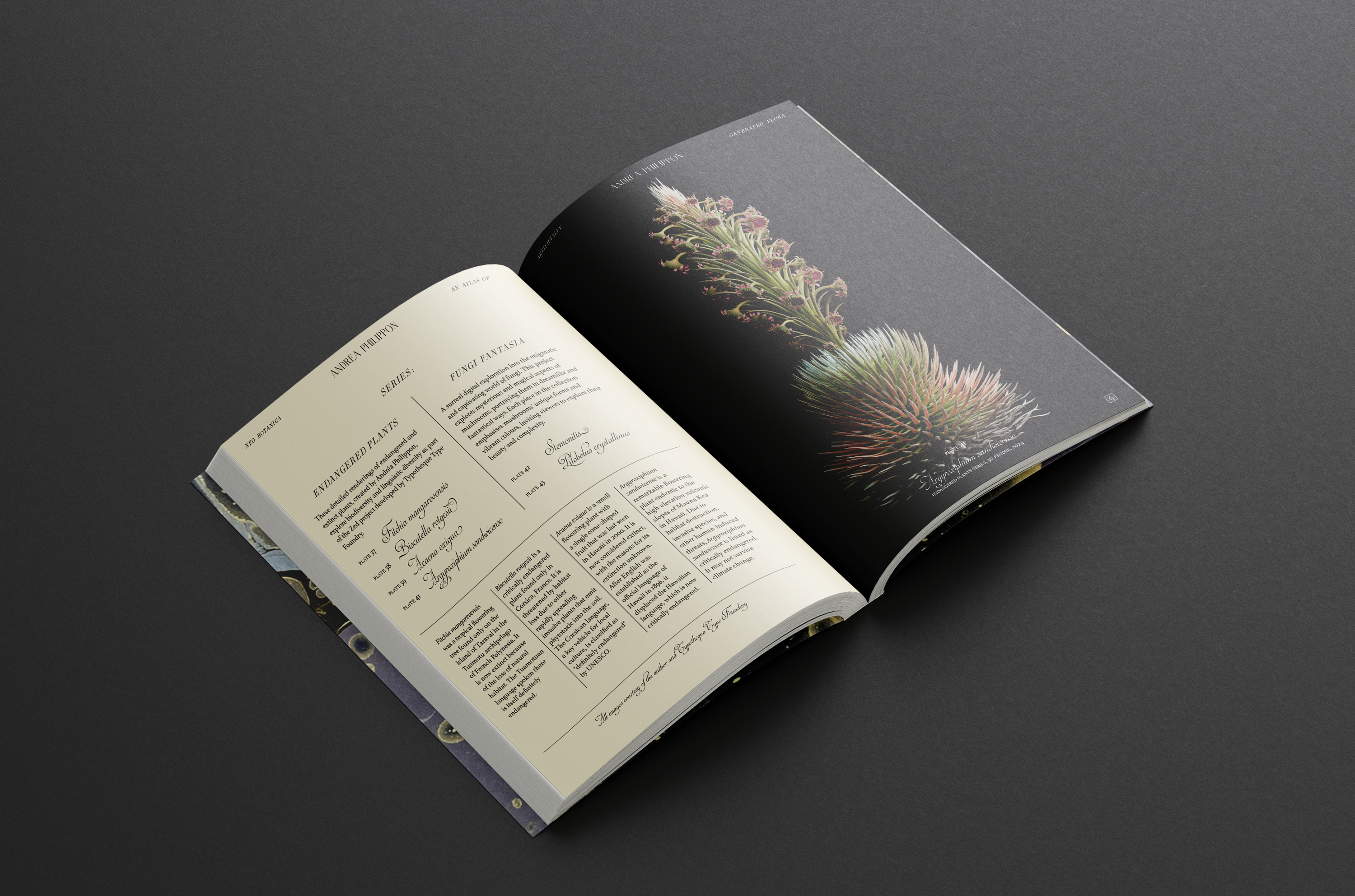 Neo Botanica