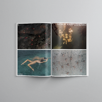 Bodyscapes